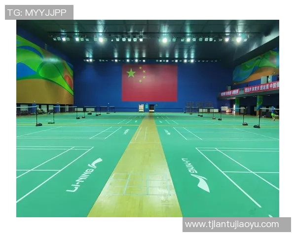 成都羽毛球队区域防守创新之路探秘与战术解析